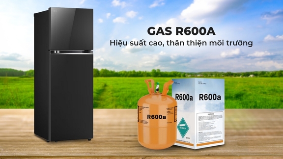 Vì sao tủ lạnh LG LTB46BLG ngăn đá trên thu hút người dùng?