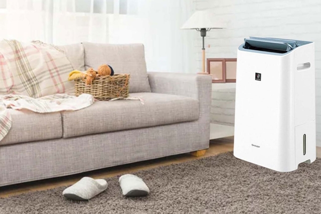 Top 3 mẫu máy hút ẩm Sharp đang được đánh giá tốt nhất hiện nay và đáng mua