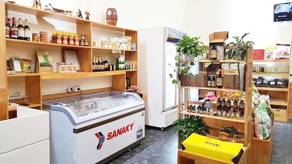 So sánh tủ đông Sanaky và Funiki, loại nào bền bỉ đáng dùng hơn?