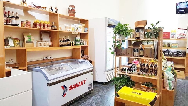 So sánh tủ đông Sanaky và Funiki, loại nào bền bỉ đáng dùng hơn?