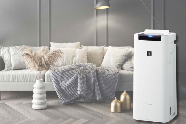 Top 5 mẫu máy lọc không khí Sharp thông dụng được lựa chọn nhiều nhất hiện nay