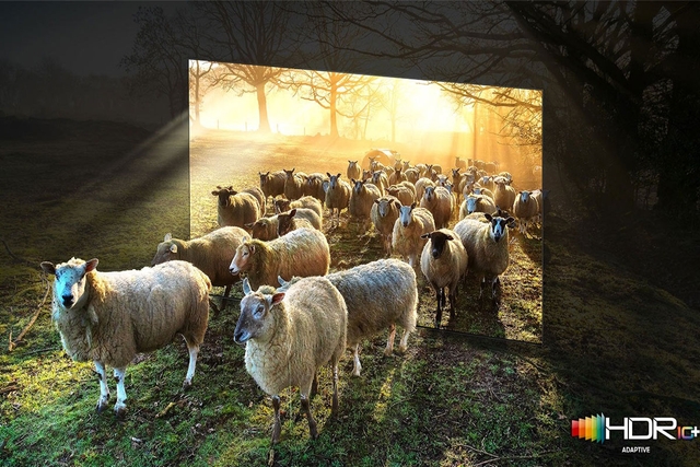 Tivi Samsung với công nghệ Quantum HDR có tác dụng gì, tìm hiểu chi tiết?