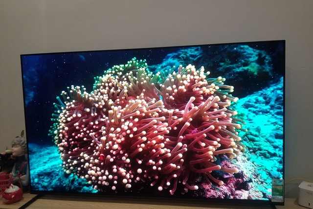 Tổng hợp về các đặc điểm nổi bật của những dòng google tivi Sony 2025