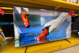 Tivi TCL 55 inch 4K 55P79B Pro, lựa chọn thực sự chất lượng trong tầm giá 8 triệu đồng