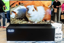Tìm hiểu Vision AI và QLED, sức mạnh kép trên tivi Samsung QA50Q8FA có gì đặc biệt?