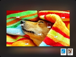 Chỉ 7tr650 sở hữu tivi Samsung QLED 43 inch 4K Vision AI QA43Q7FAAKXXV cực hời