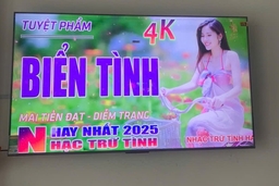 Google Tivi TCL 43 inch 4K 43C655, mẫu tivi QLED hình ảnh cực chất nhưng giá siêu rẻ
