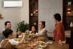 Hướng dẫn sử dụng điều hòa Daikin 22000btu 1 chiều FTKF60ZVMV chi tiết