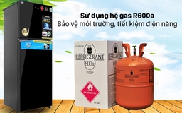 Tủ lạnh Panasonic 2 cánh NR-TL381VGMV sự lựa chọn hoàn hảo cho không gian sống hiện đại