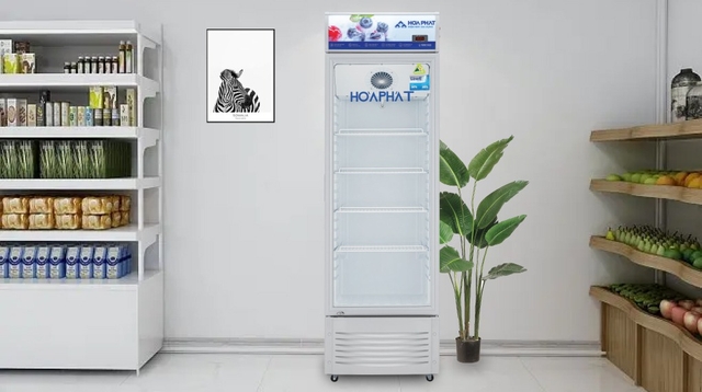 Đánh giá ưu nhược điểm của tủ mát Hòa Phát 280 lít HSR D6280