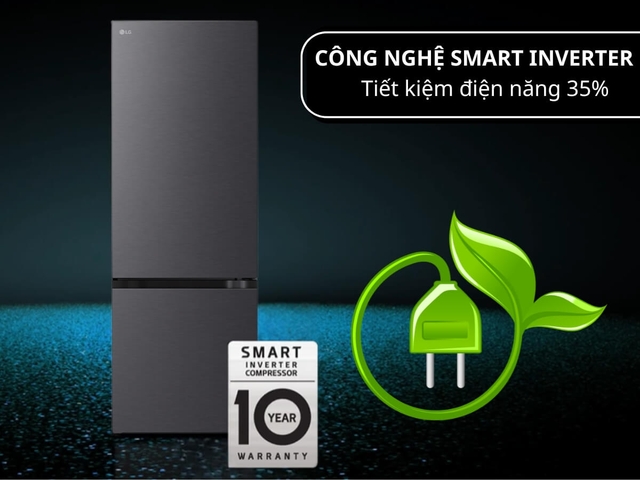 Những điểm đáng chú ý ở tủ lạnh LG LBB33BLM 335 lít