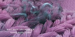 Tất tần tật về máy giặt Electrolux 11kg EWF1143R7SC: Đánh giá chất lượng và mẹo dùng để hiệu quả nhất