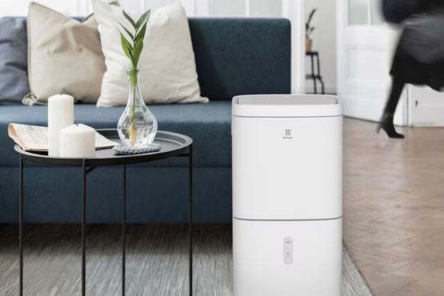 Máy hút ẩm Electrolux EDH10TRBW1 có gì nổi bật và có lợi ích và ứng dụng thực tế?