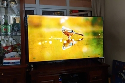Tìm hiểu về tấm nền IPS trang bị trên tivi Sony 55 inch 4K K-55S25VM2 có tác dụng gì?
