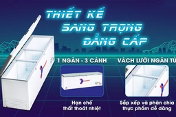 Review chi tiết tủ đông Sanaky VH-1399HY4K: Công nghệ, độ bền và hiệu suất làm lạnh