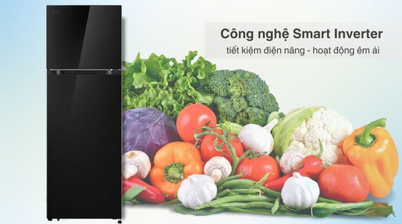 Tủ lạnh LG T21BG 2 cánh bạn không nên bỏ lỡ cho phòng bếp