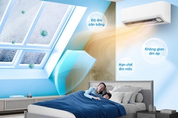 Điều hòa Daikin FTHB25ZVMV, giải pháp 2 trong 1 hoàn hảo cho mùa đông không lo khô da