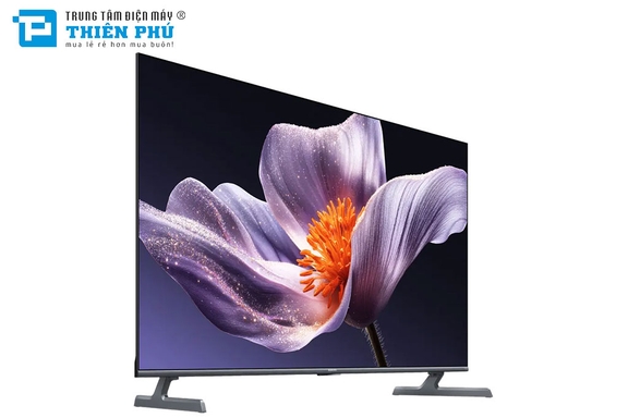 Google Tivi Xiaomi S Pro Mini LED 4K 55 Inch L55MB-SSEA