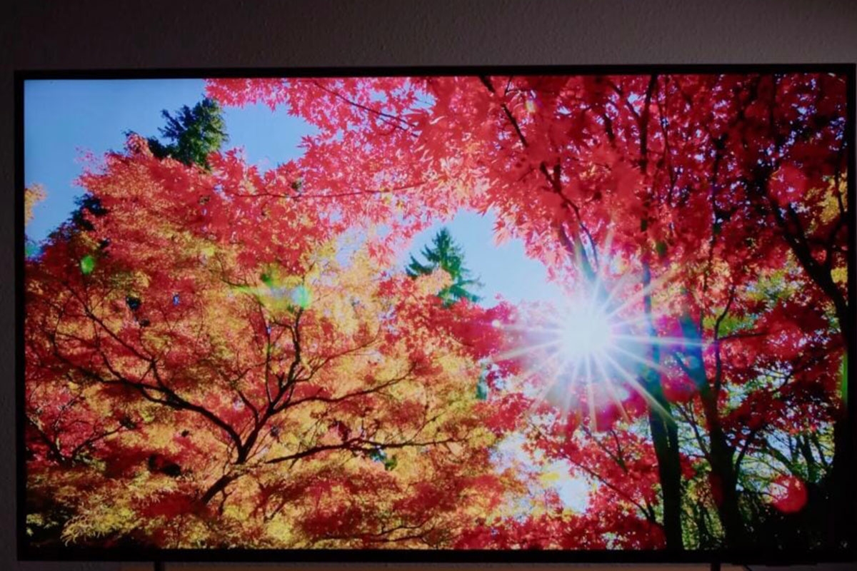 Trải nghiệm thực tế tivi Samsung QA55Q7F5AKXXV với màu sắc Quantum Dot chân thực đến mức nào?