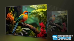 Chất lượng hình ảnh, âm thanh của tivi LG 55 inch 55UA8055PSA có tốt không?