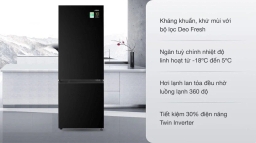 Tủ Lạnh Aqua Inverter 260 Lít AQR-B310MA(FB) Giải Pháp Bảo Quản Thực Phẩm Hiện Đại Cho Gia Đình Nhỏ