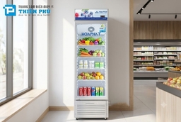 Review tủ mát Hòa Phát 242 lít HSR S6242: Thiết kế, khả năng làm lạnh và giá bán?