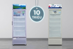 Phân khúc giá 10 triệu, nên chọn mua tủ mát Sanaky VH-358K3L hay Hòa Phát HSR D6280?