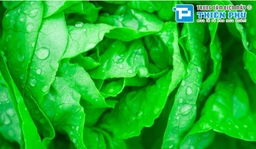 3 chiếc tủ lạnh 2 cánh thuộc phân khúc giá rẻ được lựa chọn nhiều