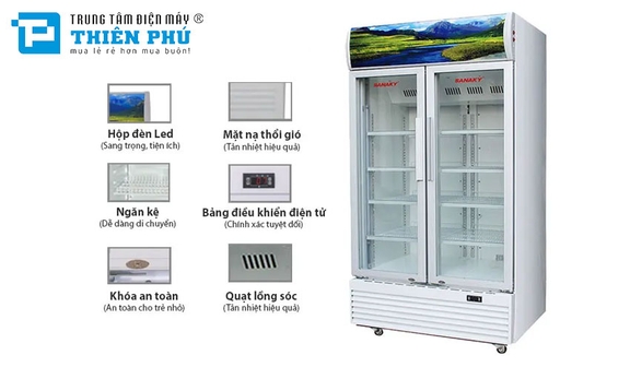 Review chi tiết về tủ mát Sanaky VH-8009HP có tốt không, có nên mua?