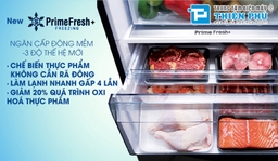 Tham khảo 3 model tủ lạnh Panasonic ngăn đá dưới tại Điện Máy Thiên Phú