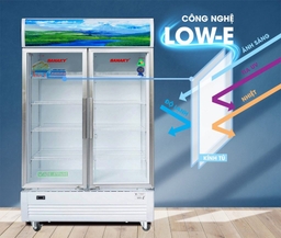 Thực tế sử dụng tủ mát Sanaky VH-6009HP có tốt như quảng cáo?