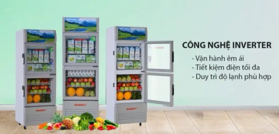Có phải tủ mát Sanaky VH-308W là chân ái cho các tiệm tạp hóa nhỏ?