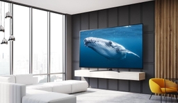 Gợi ý mẫu Smart tivi LG 55 inch chỉ 10 triệu rất đáng để mua