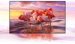 Smart Tivi LG 55 Inch 4K 55UQ9100PSD – Chiếc tivi 55 inch được yêu thích hiện nay