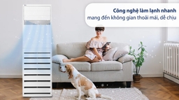 Top 3 điều hòa cây 2 chiều nên chọn mua đầu năm 2023