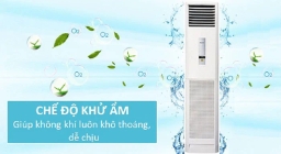 Top 3 điều hòa cây 2 chiều bán chạy nhất vào dịp cuối năm 2023