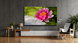 Đánh giá Tivi LG Smart 75 inch 75UQ8000PSC có tốt không? Giá bán?