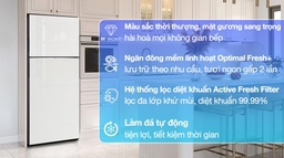 Tủ lạnh Samsung RT38CB668412/SV – Giải quyết tốt nhu cầu của người dùng