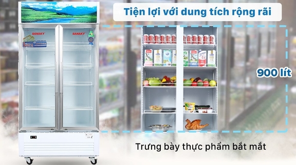 Sức chứa thực phẩm thực tế của tủ mát Sanaky VH-1009HP là bao nhiêu?