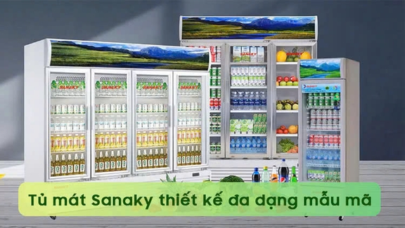 Tư vấn kinh nghiệm chọn mua tủ mát hãng nào tốt và bền nhất 2026