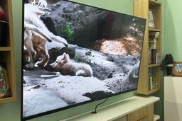 Tivi Casper 50 inch 4K D50UGC620, lựa chọn chất lượng trong tầm giá 7 triệu đồng