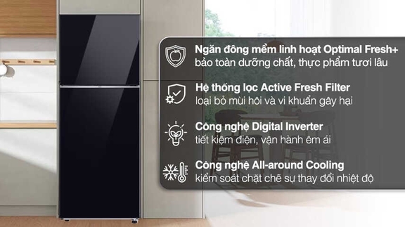 Những lý do đáng để lựa chọn tủ lạnh Samsung RT38CB668422SV 2 cánh