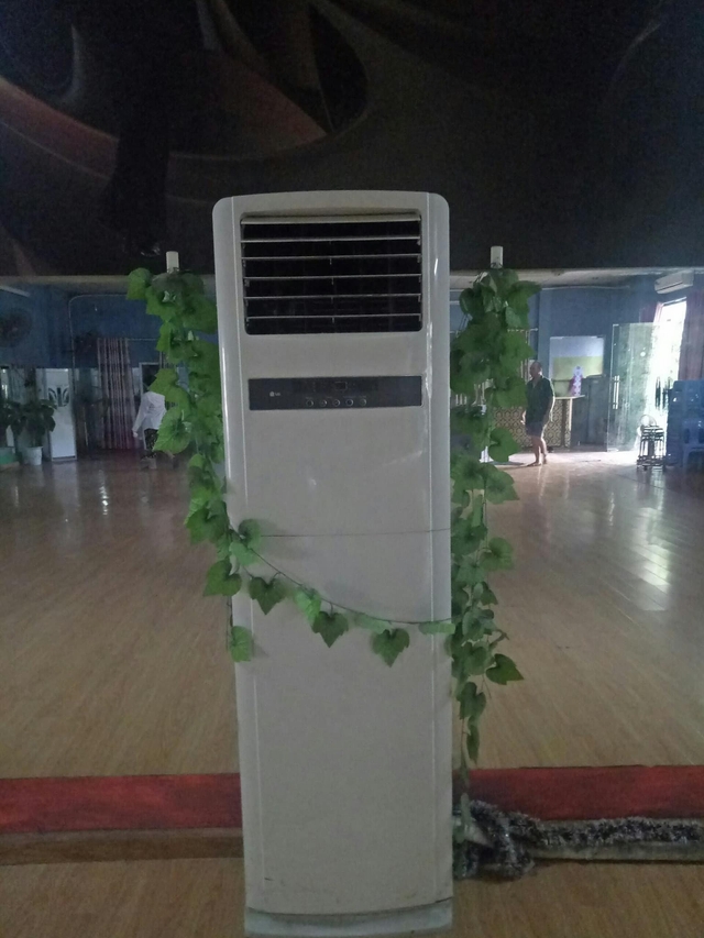 Top 5 điều hòa cây ưa chuộng nhất thị trường hiện nay