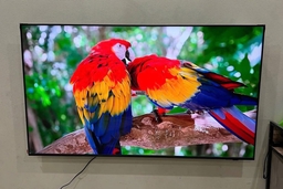 Top 5 lý do tivi Samsung 55 inch 4K QA55Q6FAAKXXV là mẫu tivi gia đình tốt nhất 2026