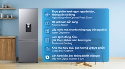 Tủ lạnh Samsung RB30N4190S9/SV 2 cánh thích hợp cho gia đình dưới 4 người