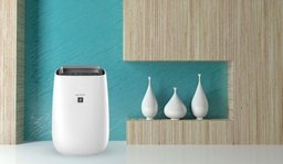 Có nên mua máy lọc không khí Sharp FP-J40E-W không, ưu nhược điểm cần biết rõ?