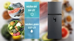 Tủ Lạnh Toshiba Inverter 2 Cánh GR-RT395WE-PMV(06)-MG 311 Lít Lựa Chọn Đáng Giá Cho Gia Đình 3–4 Người