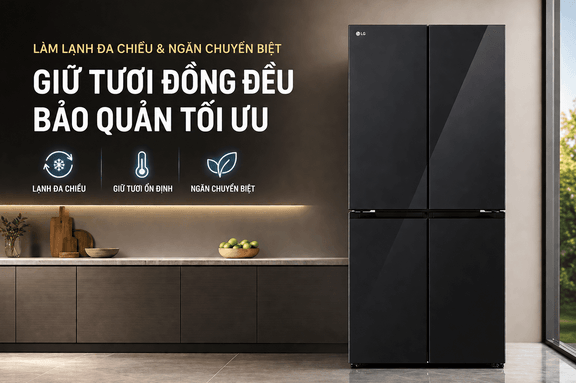 Những tính năng vượt trội bên trong tủ lạnh LG F56BG 4 cánh