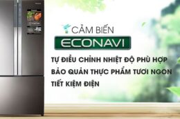 Tìm hiểu công nghệ ECONAVI tiết kiệm điện trên tủ lạnh Panasonic inverter