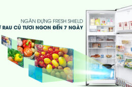Hướng dẫn sử dụng tủ lạnh Electrolux ESE6141A-B cho người dùng mới